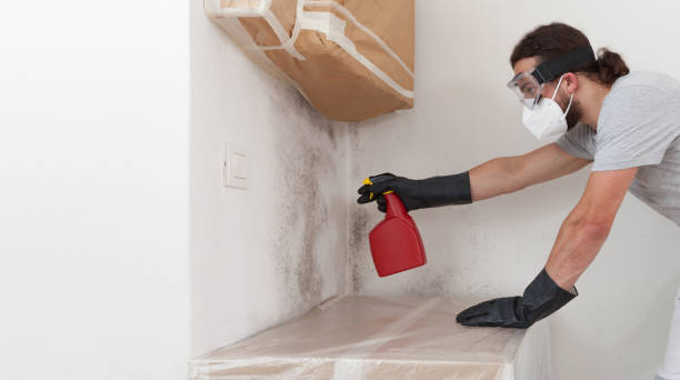 Professional Mold Remediation technician working in Three Oaks, FL